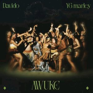 Davido - AWUKE Ft YG Marley Mp3 | Audio Download