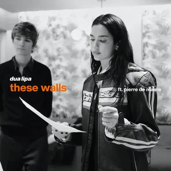 Dua Lipa - These Walls ft Pierre de Maere Mp3 Download Lyrics