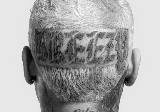 Chris Brown – On Some New Sh*t Chris Brown – On Some New Sh*t