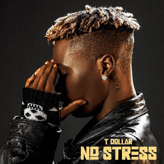 T Dollar – No Stress Album