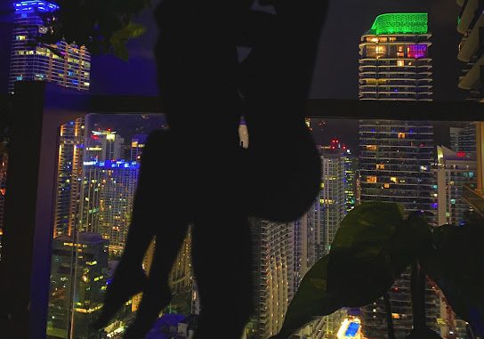 Yung Bleu – Friends To Miami ft. Meek Mill Yung Bleu – Friends To Miami ft. Meek Mill