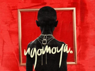ALBUM: Free Download DJ Maphorisa NGOMOYA Mp3 Download