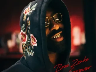 ALBUM: Free Download Riky Rick Boss Zonke Forever Mp3 Download