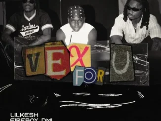 Lil Kesh  Vex For U Ft. Fireboy DML & Ayo Maff Mp3 Download