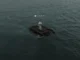 NF  HAPPY Mp3 Download