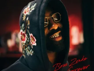 Riky Rick  Rain On Me Ft. Lloyiso, Aubrey Qwana & Lucille Slade Mp3 Download